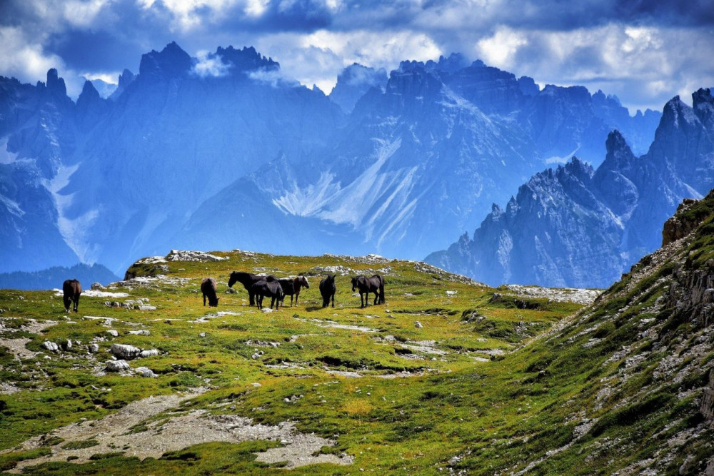 Фото: Верхом на лошадях по Северной Осетии