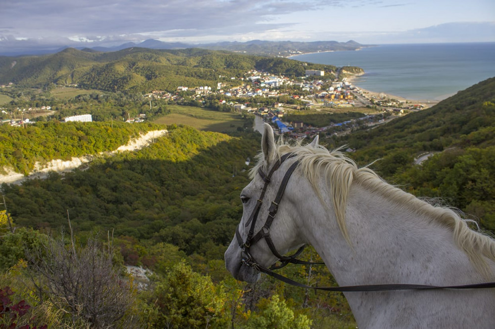 Фото: Панорамная прогулка верхом на лошади
