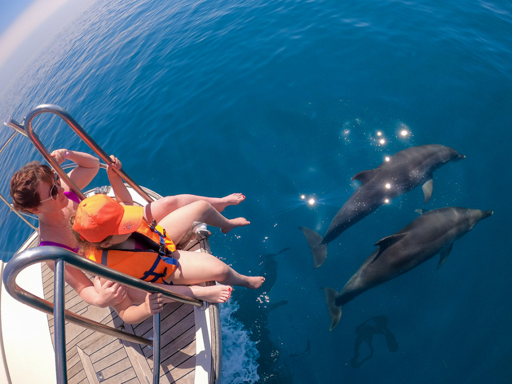Фото: Тур «В гости к дельфинам»