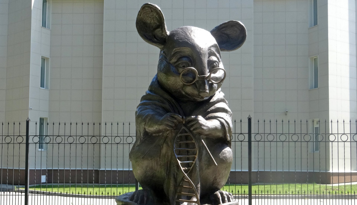 Фото: Памятник лабораторной мыши