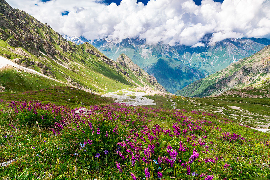 Фото: Национальный парк «Алания» в Северной Осетии